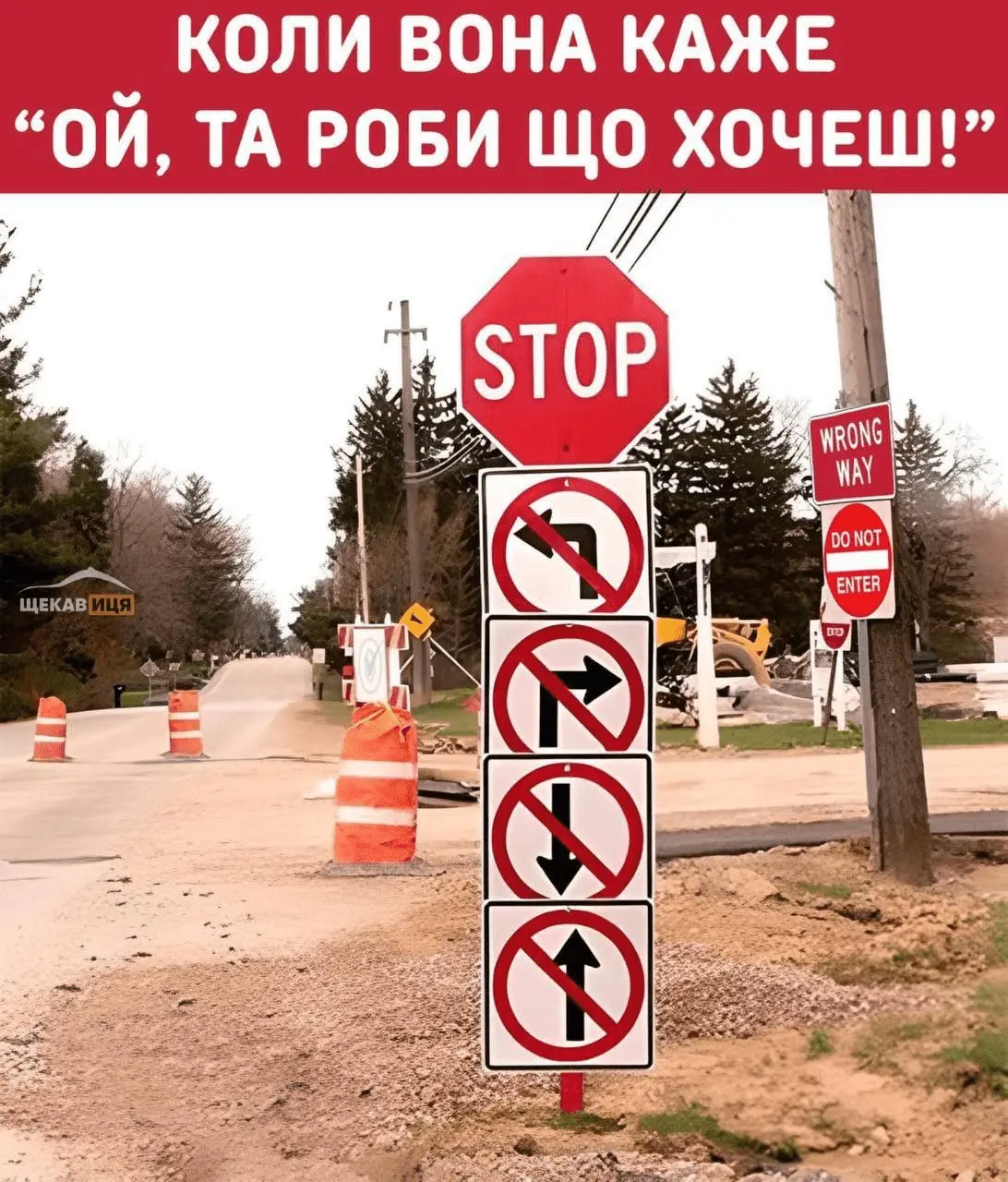 1723122229570.webp