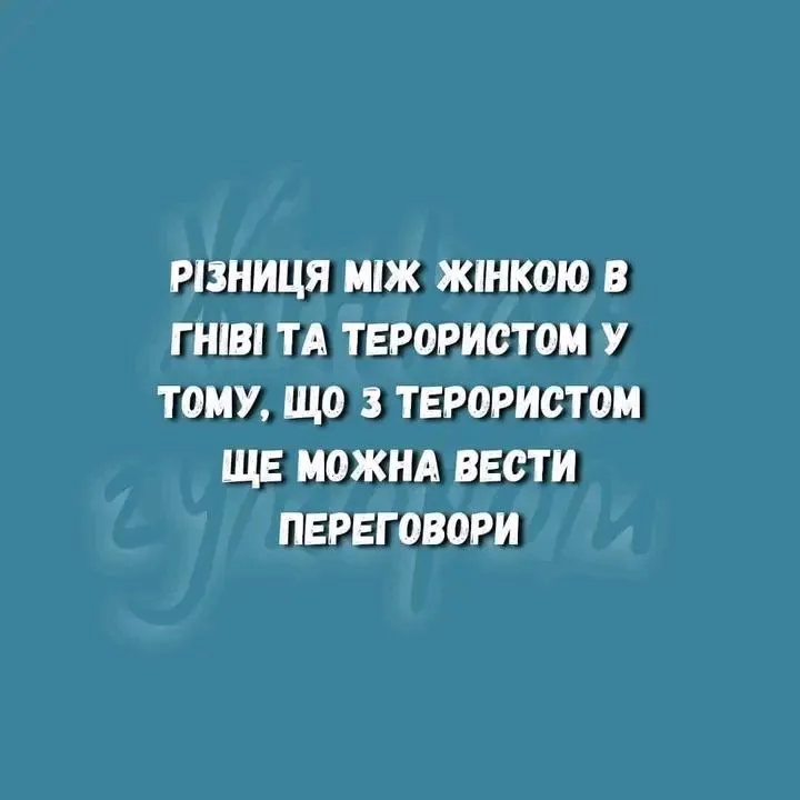 1723186831666.webp