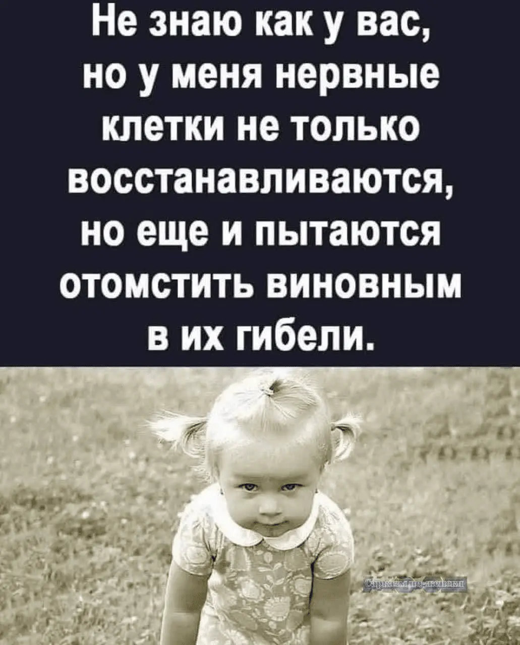 1723203377252.webp