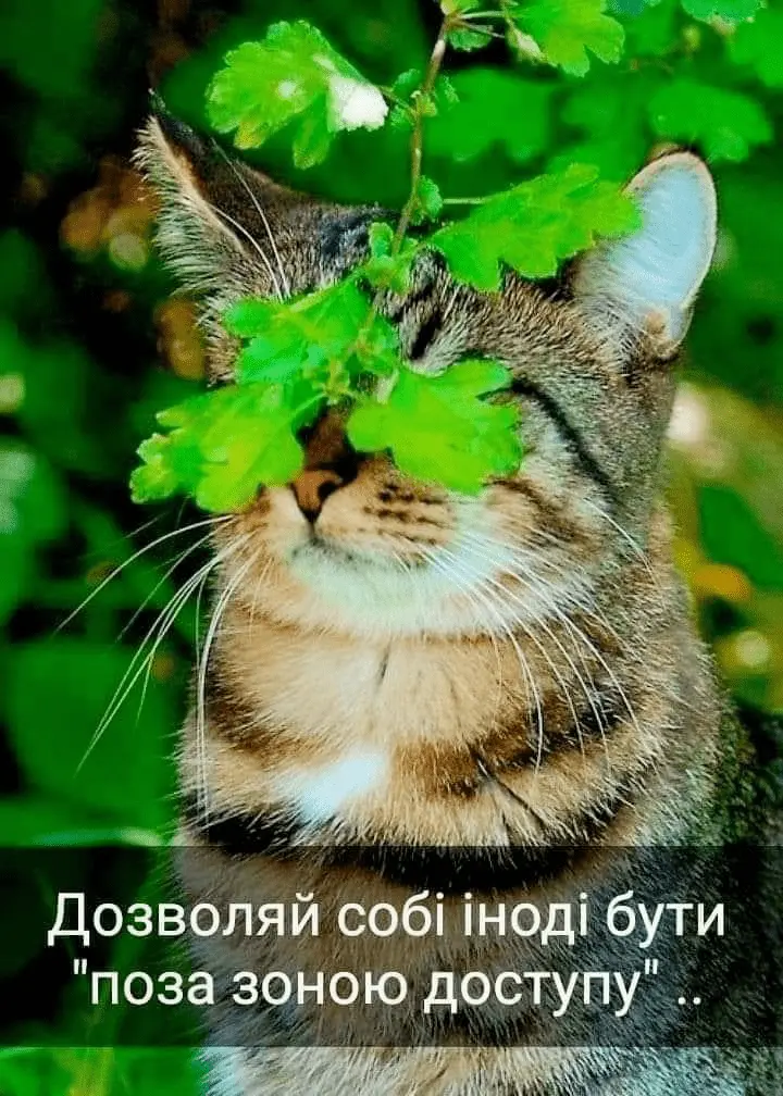 1723302407664.webp