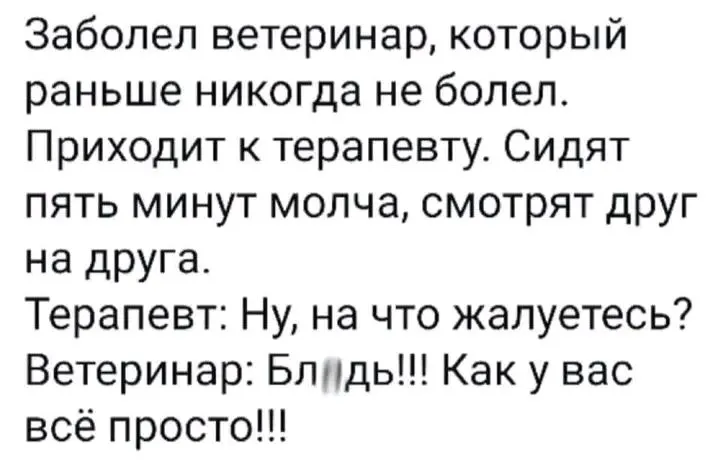 1723306072469.webp