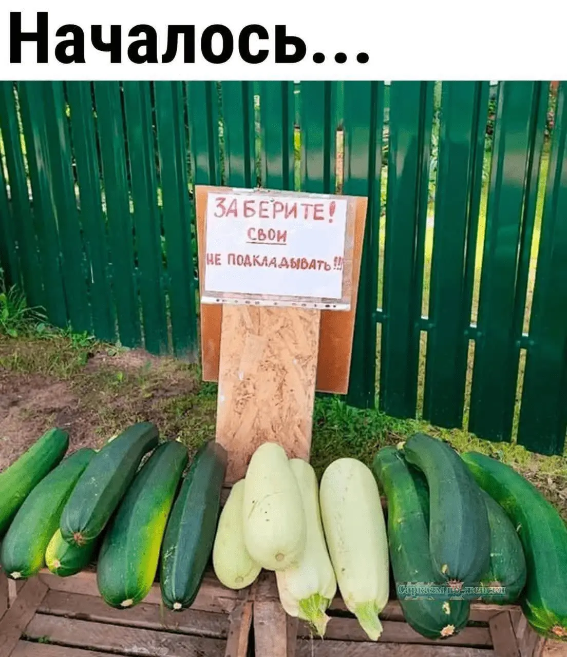 1723451562607.webp