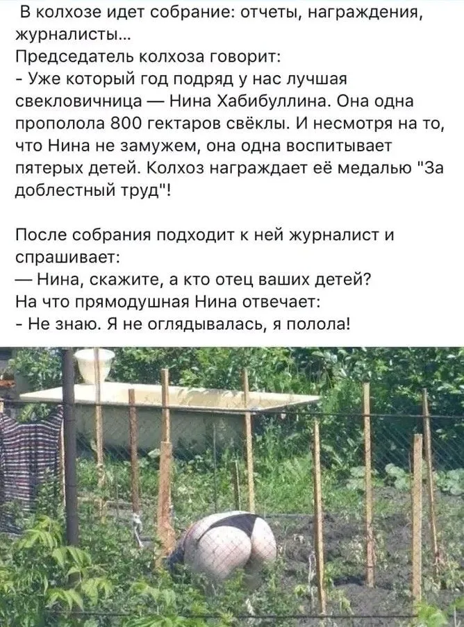 1723471882158~2.webp