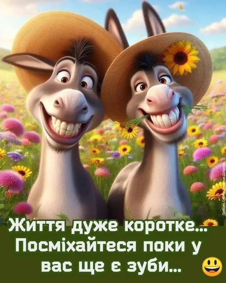 1723544208058.webp