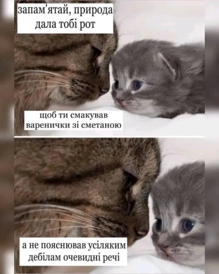 1723546610255.webp