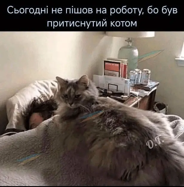 1723658872554.webp