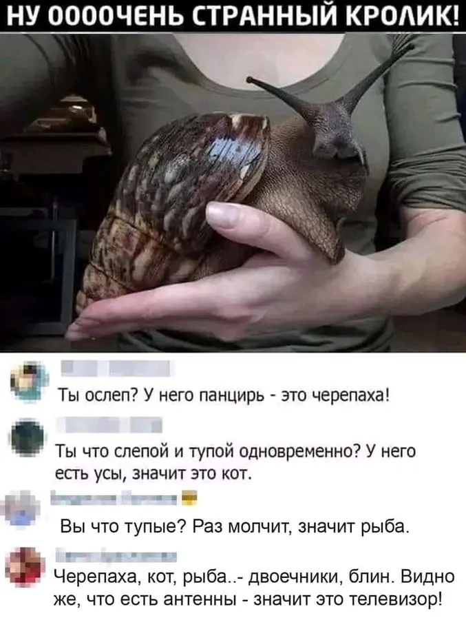 1723689729938.webp