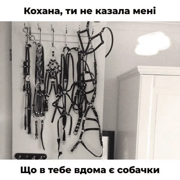 1723805001901.webp