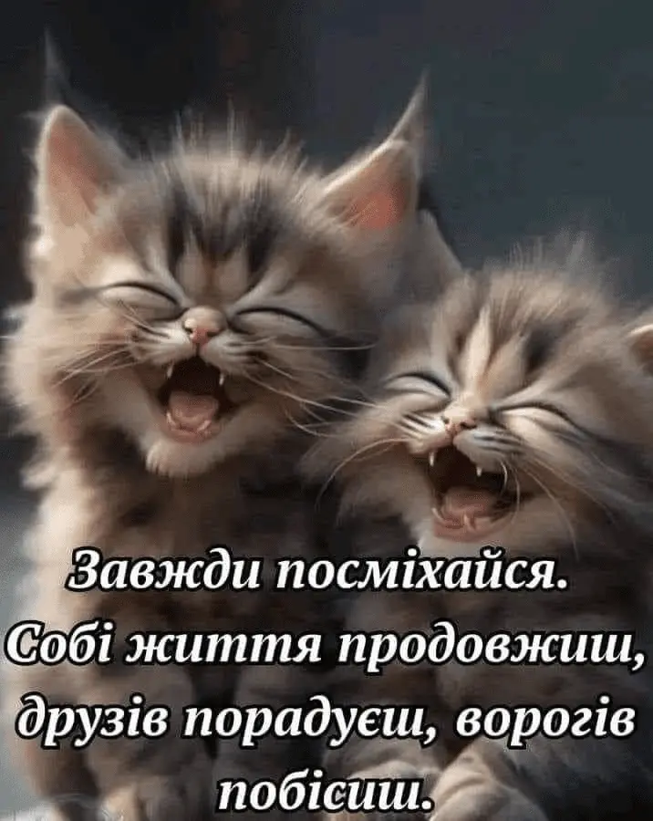1723822352021.webp