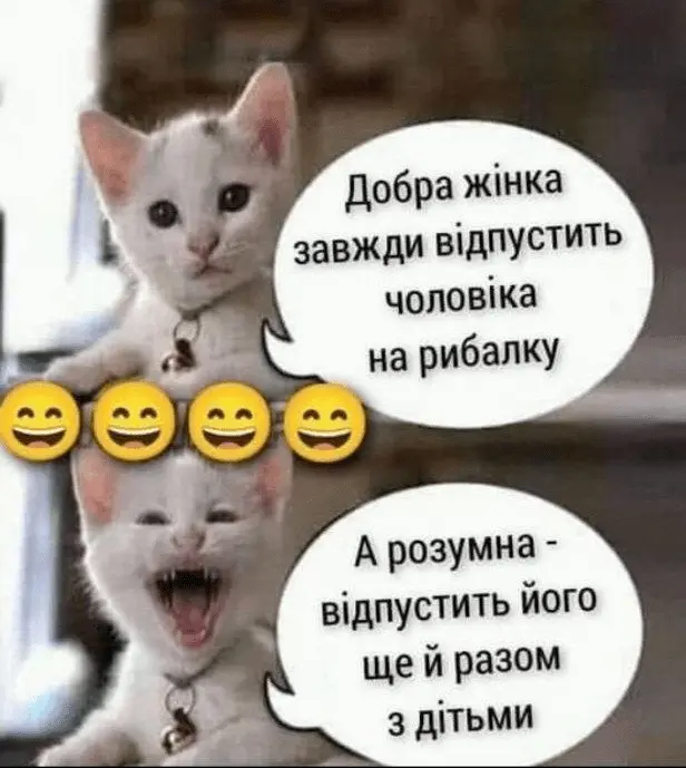 1723982290949.webp