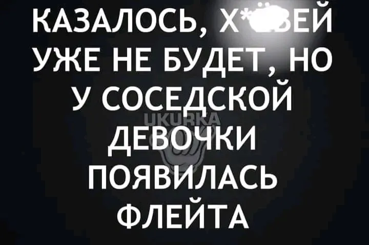 1724057709431.webp