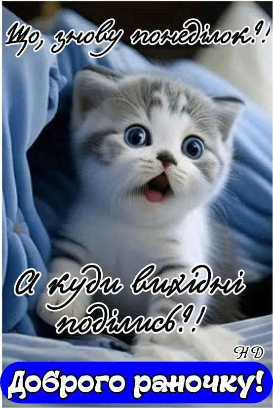 1724063733409.webp