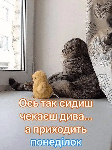 1724065023211.webp