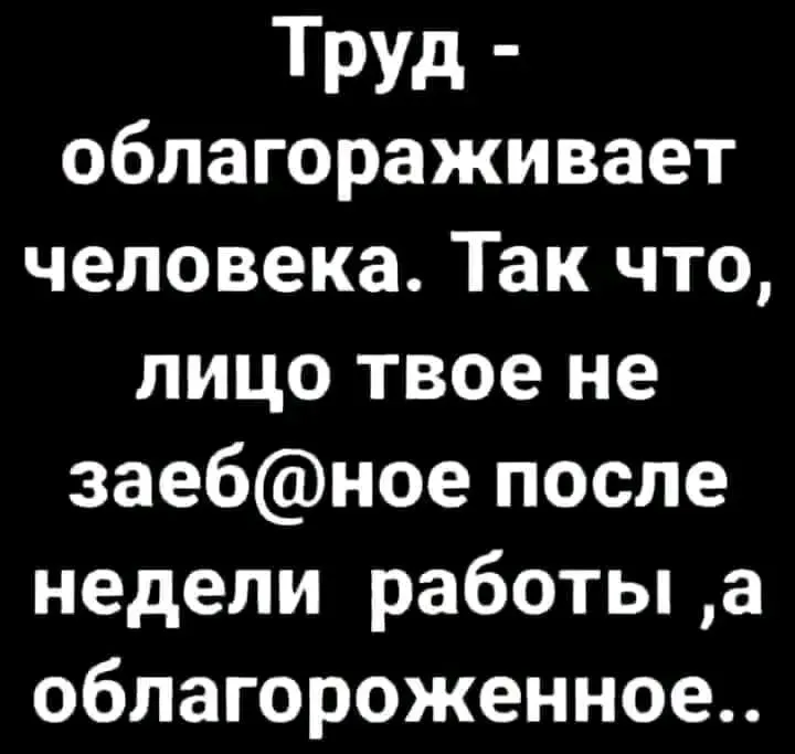 1724065891019.webp