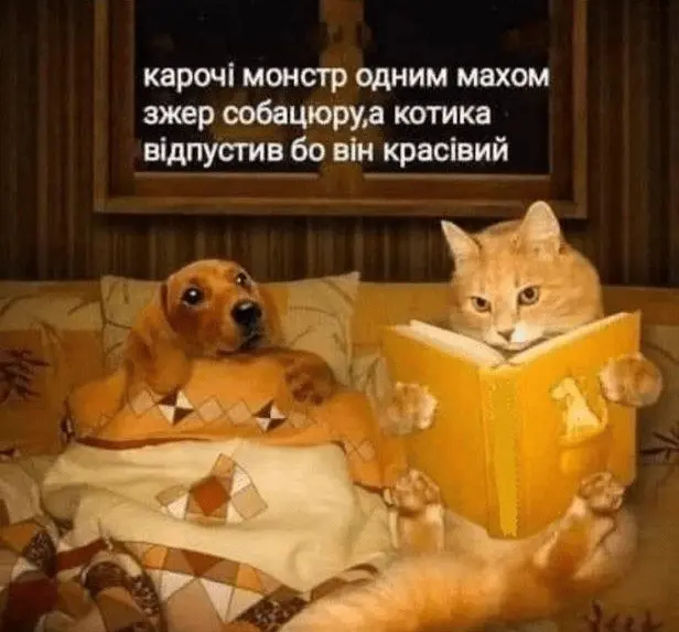 1724088459869.webp