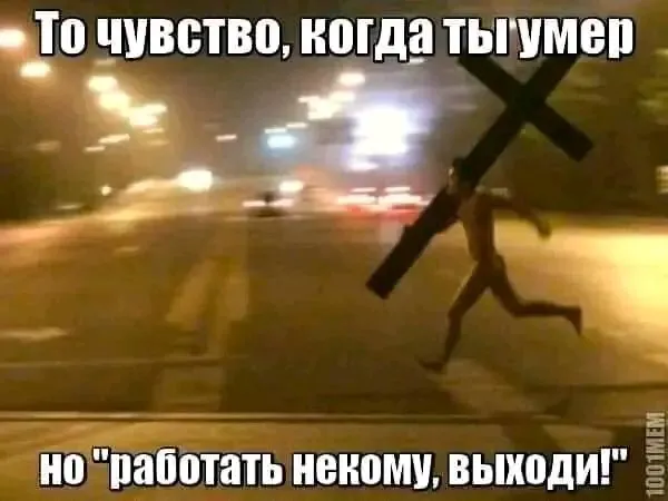 1724133447006.webp