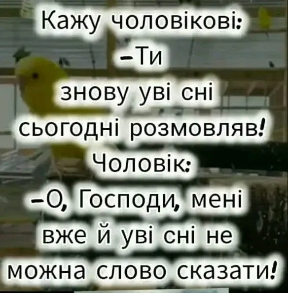 1724183082810~2.webp