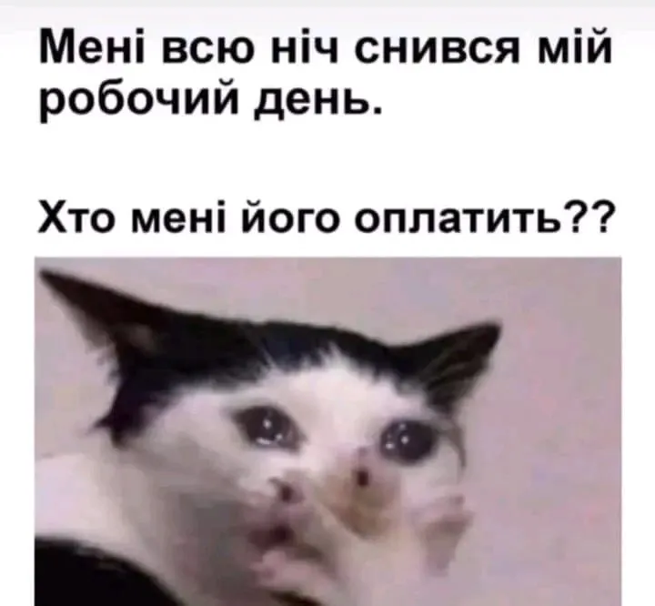 1724218901126.webp