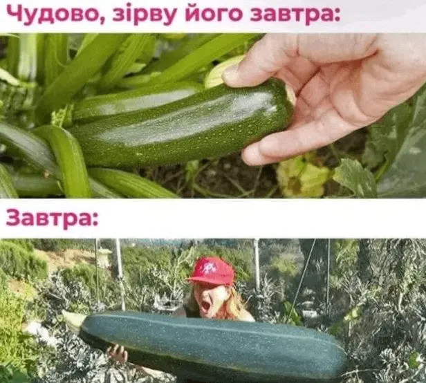 1724259921238.webp