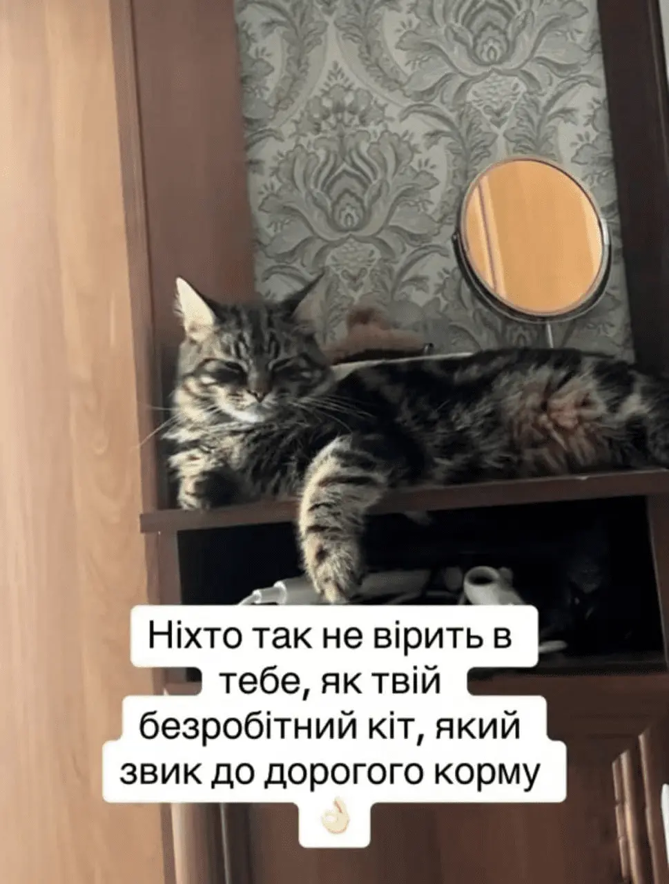 1724260284193.webp