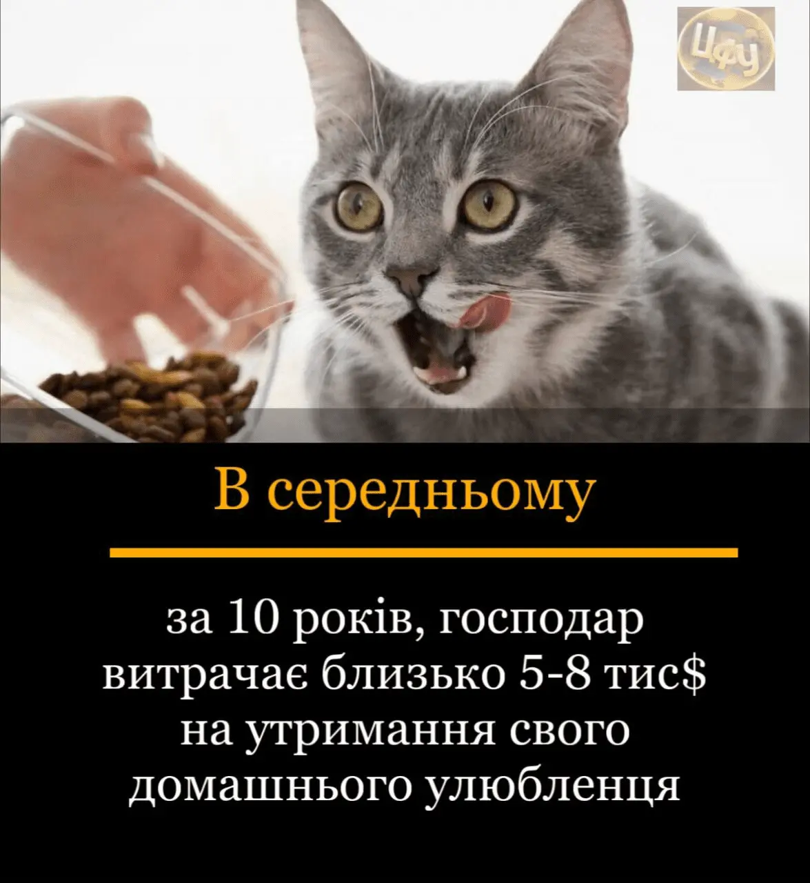 1724260494219.webp