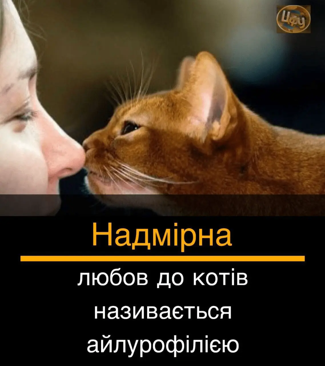 1724311539112.webp