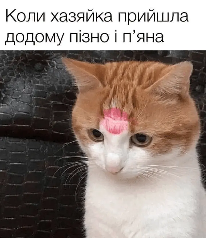 1724343278605.webp