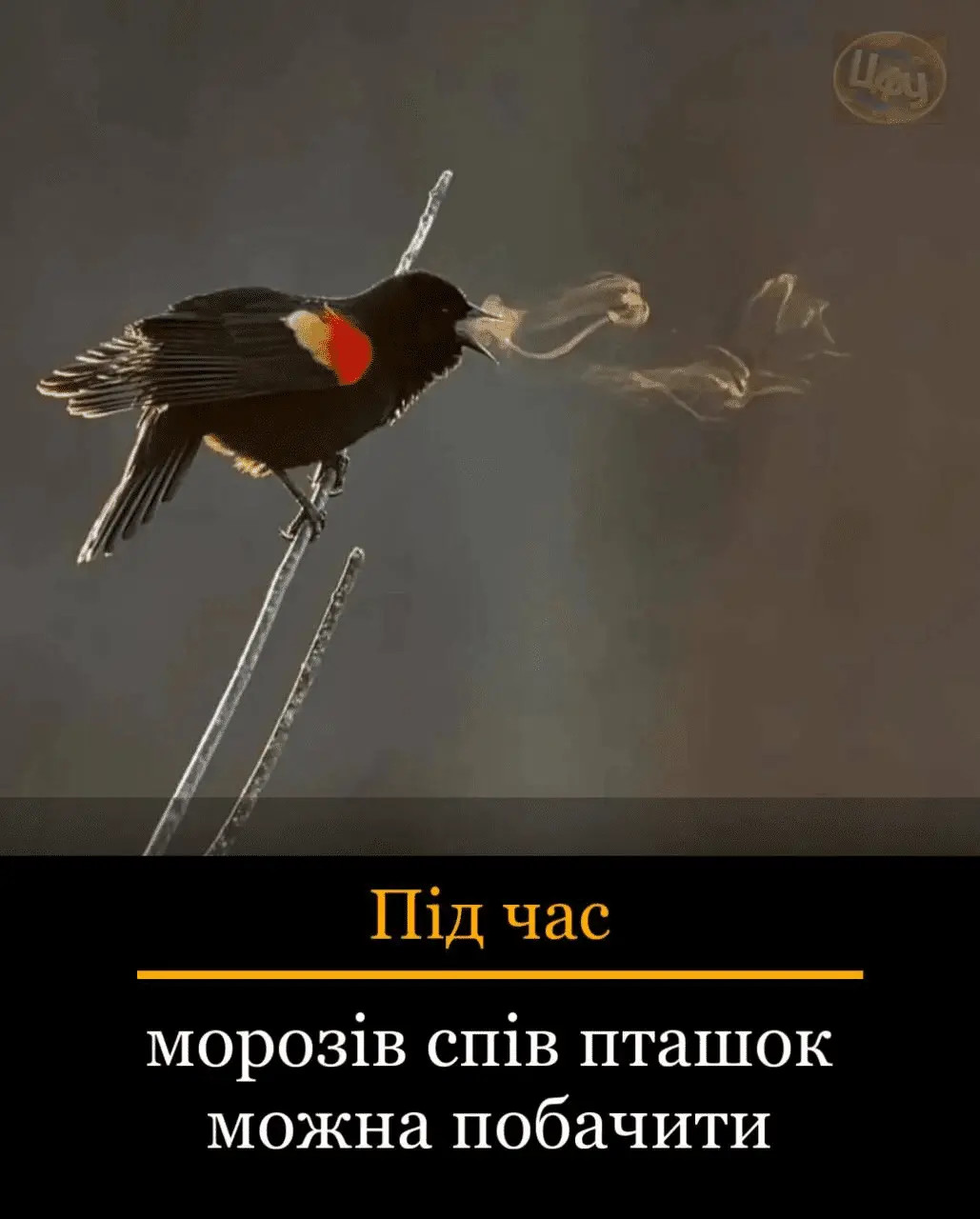 1724344615609.webp