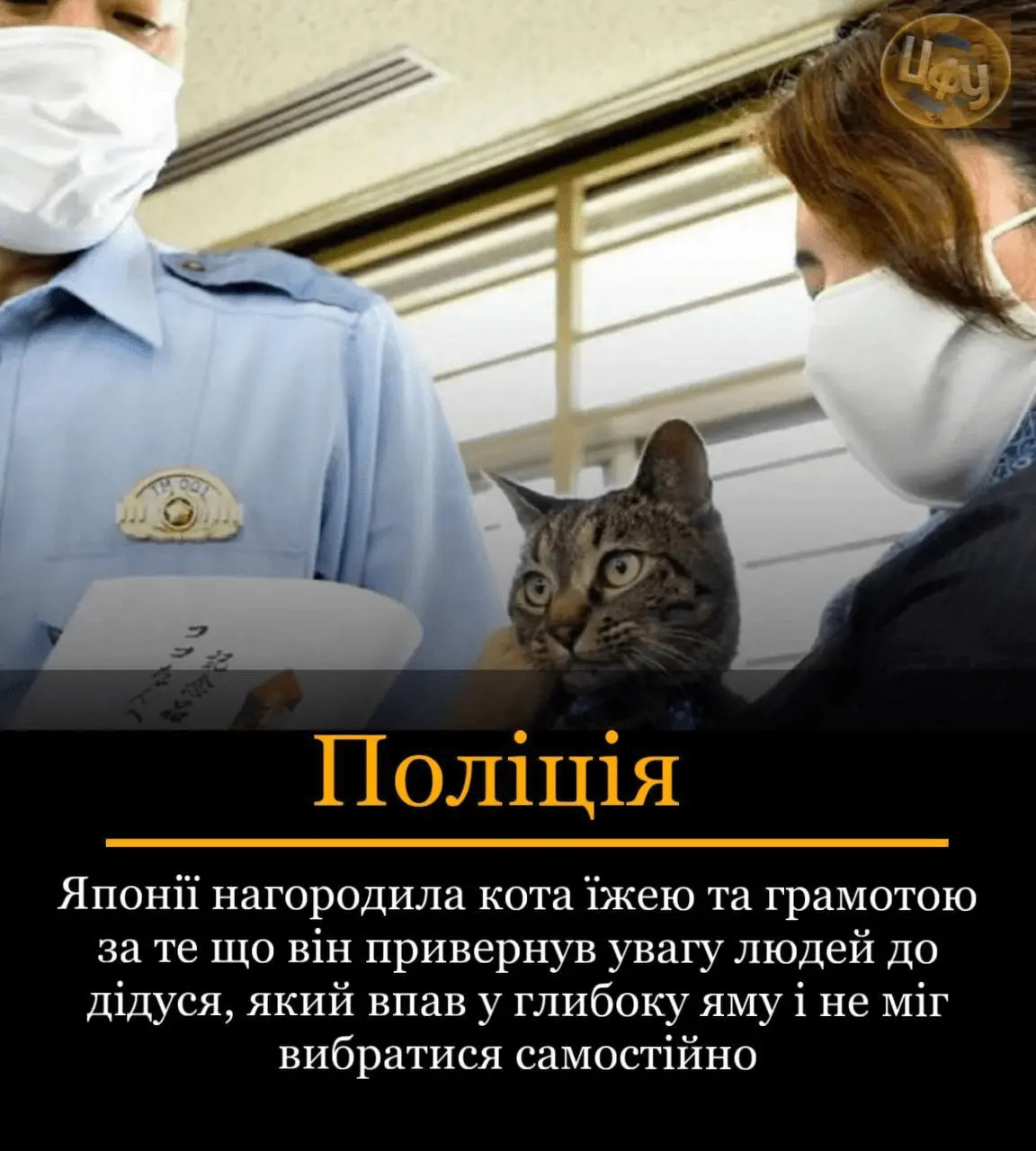 1724345196130.webp