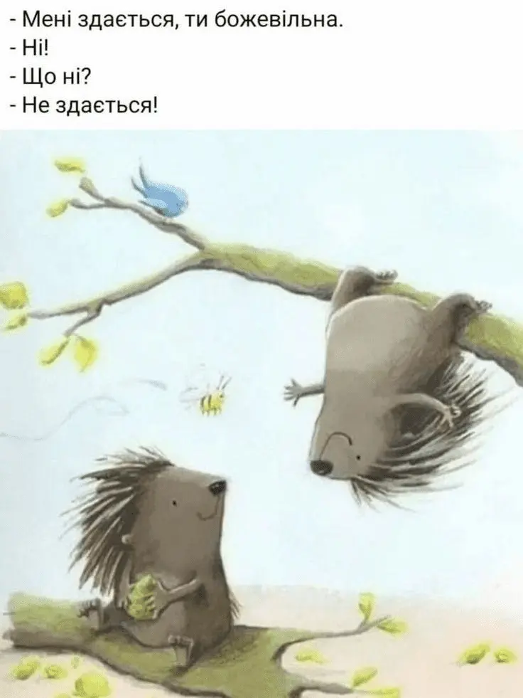 1724349088363.webp