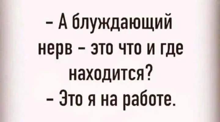 1724412890164.webp