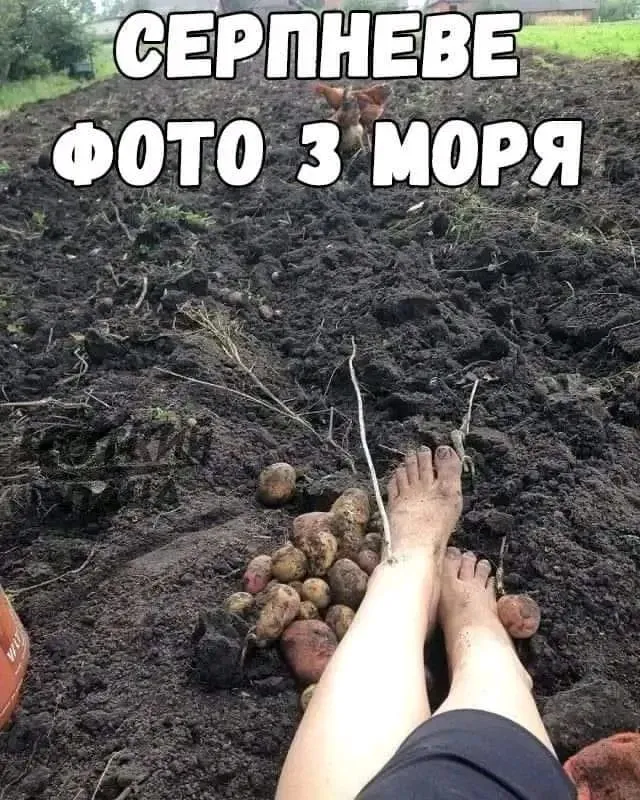1724421452767.webp