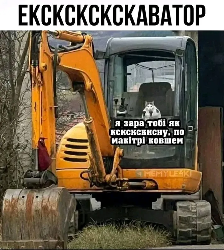 1724424991191.webp