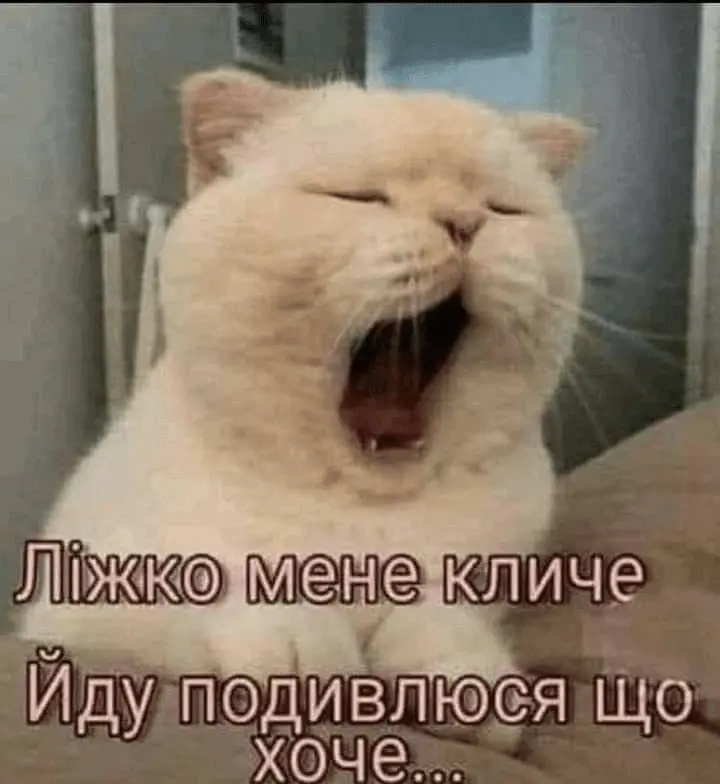 1724437746383.webp