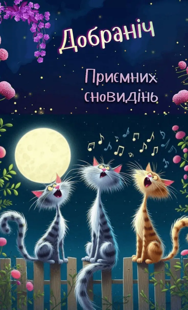 1724521311576.webp