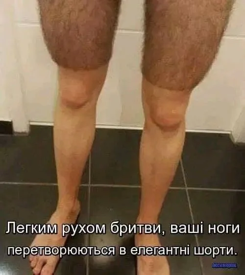 1724601783574.webp