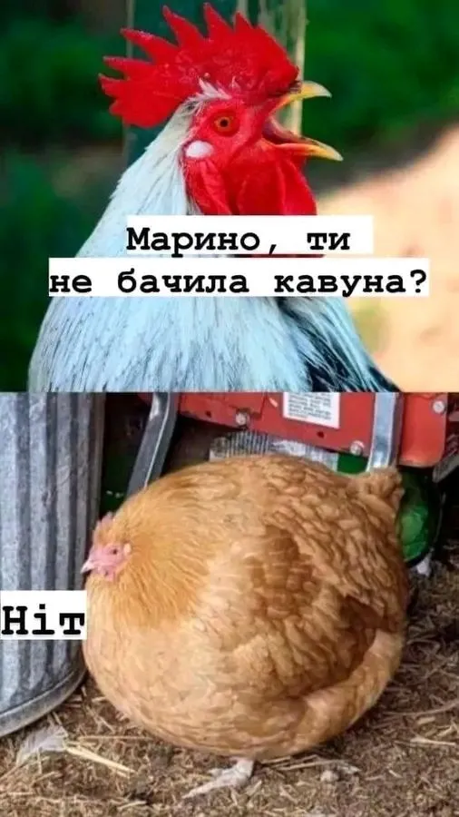 1724602608751.webp