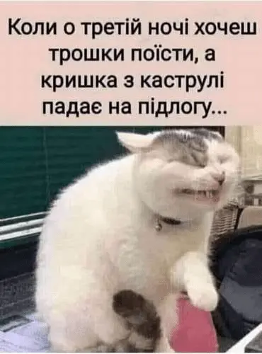 1724693472257.webp