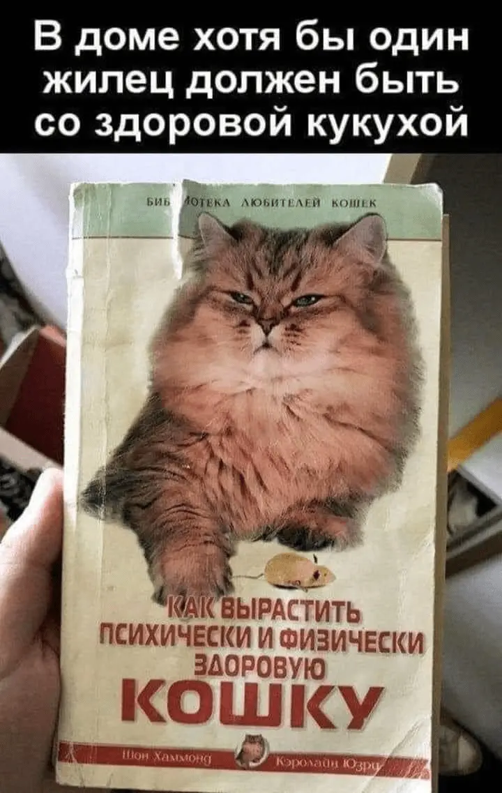1724736553011.webp