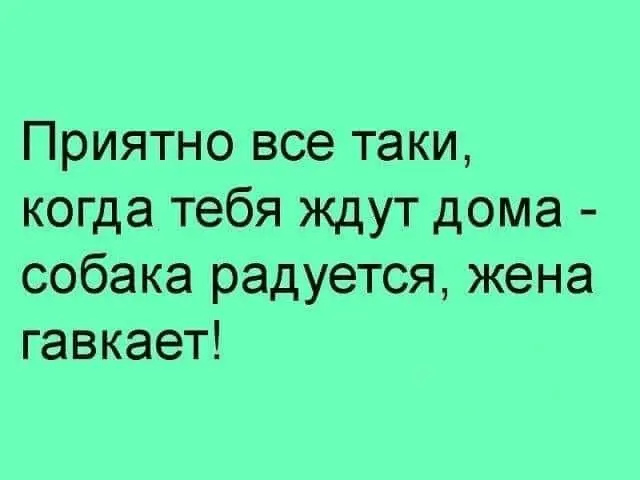 1724823437138.webp