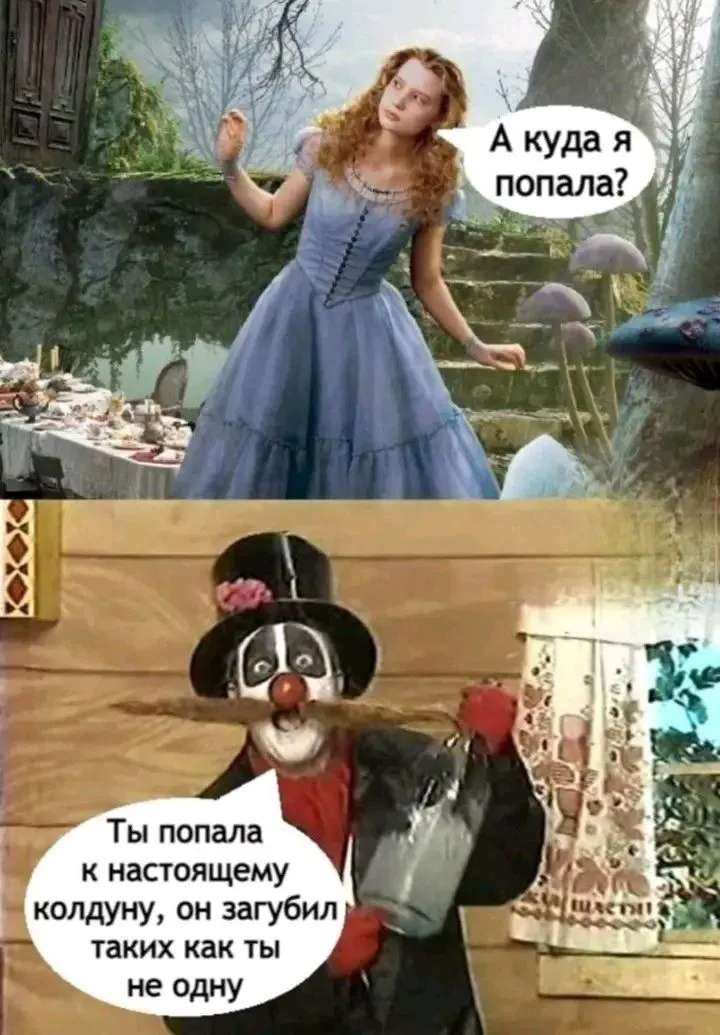1724851108185.webp