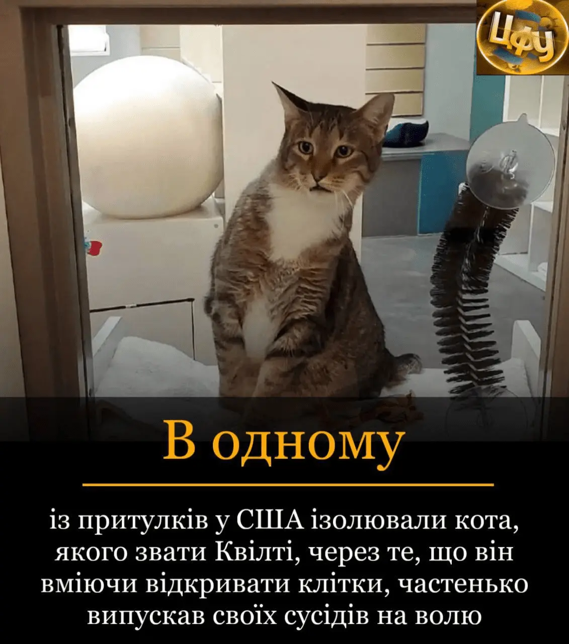 1724856370229.webp