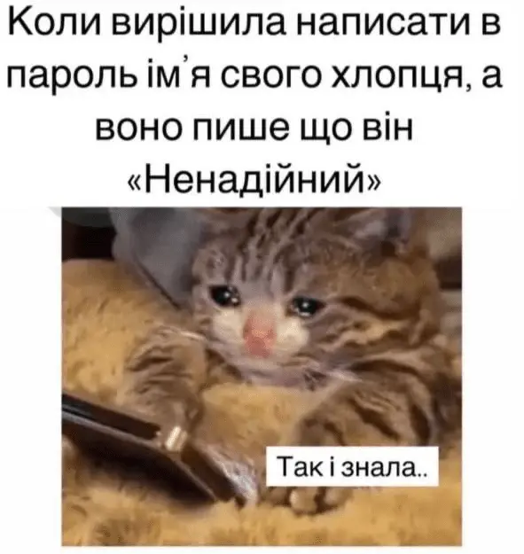 1724924534447.webp