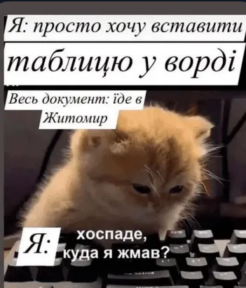 1724995743478.png