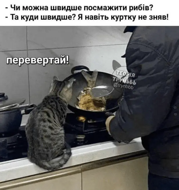 1725027466334.webp