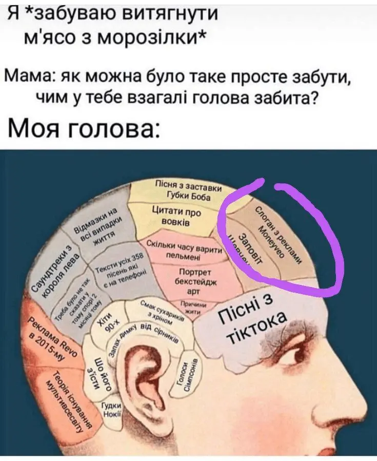 1725030502976.webp
