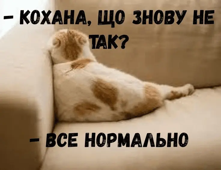 1725105922092.webp
