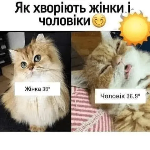 1725302774192.webp