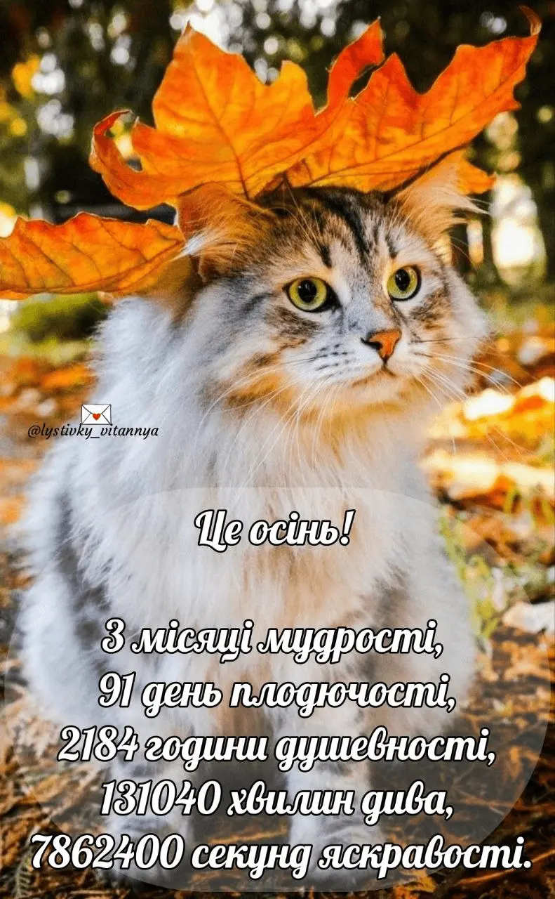 1725303606943.webp