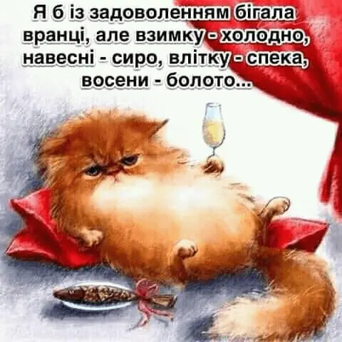 1725469756660.webp